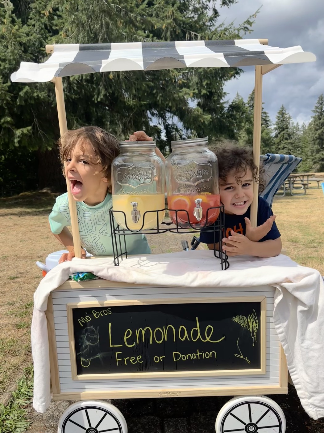 The kids running their lemonade stand